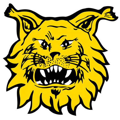 Ilves Tampere crest